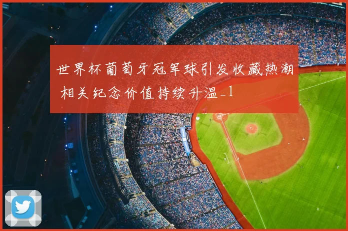 世界杯葡萄牙冠军球引发收藏热潮 相关纪念价值持续升温_1
