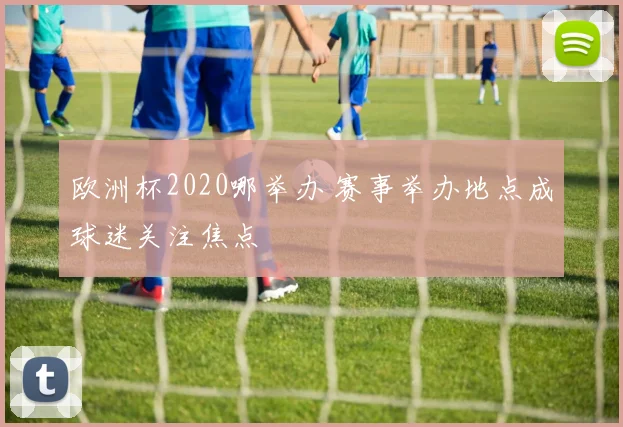 欧洲杯2020哪举办 赛事举办地点成球迷关注焦点